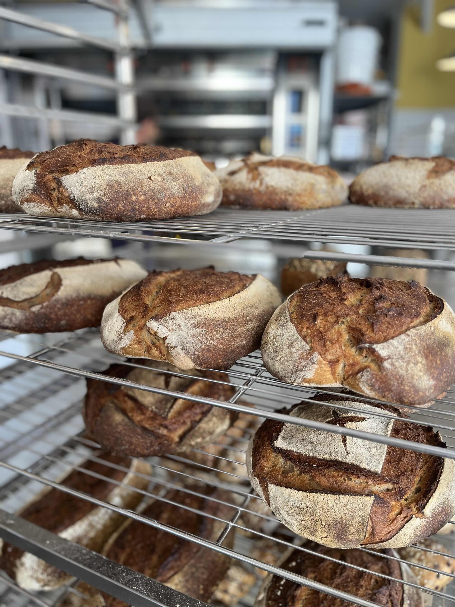 SUD·SUD·EST Boulangerie artisanale biologique et coopérative à Marseille 
