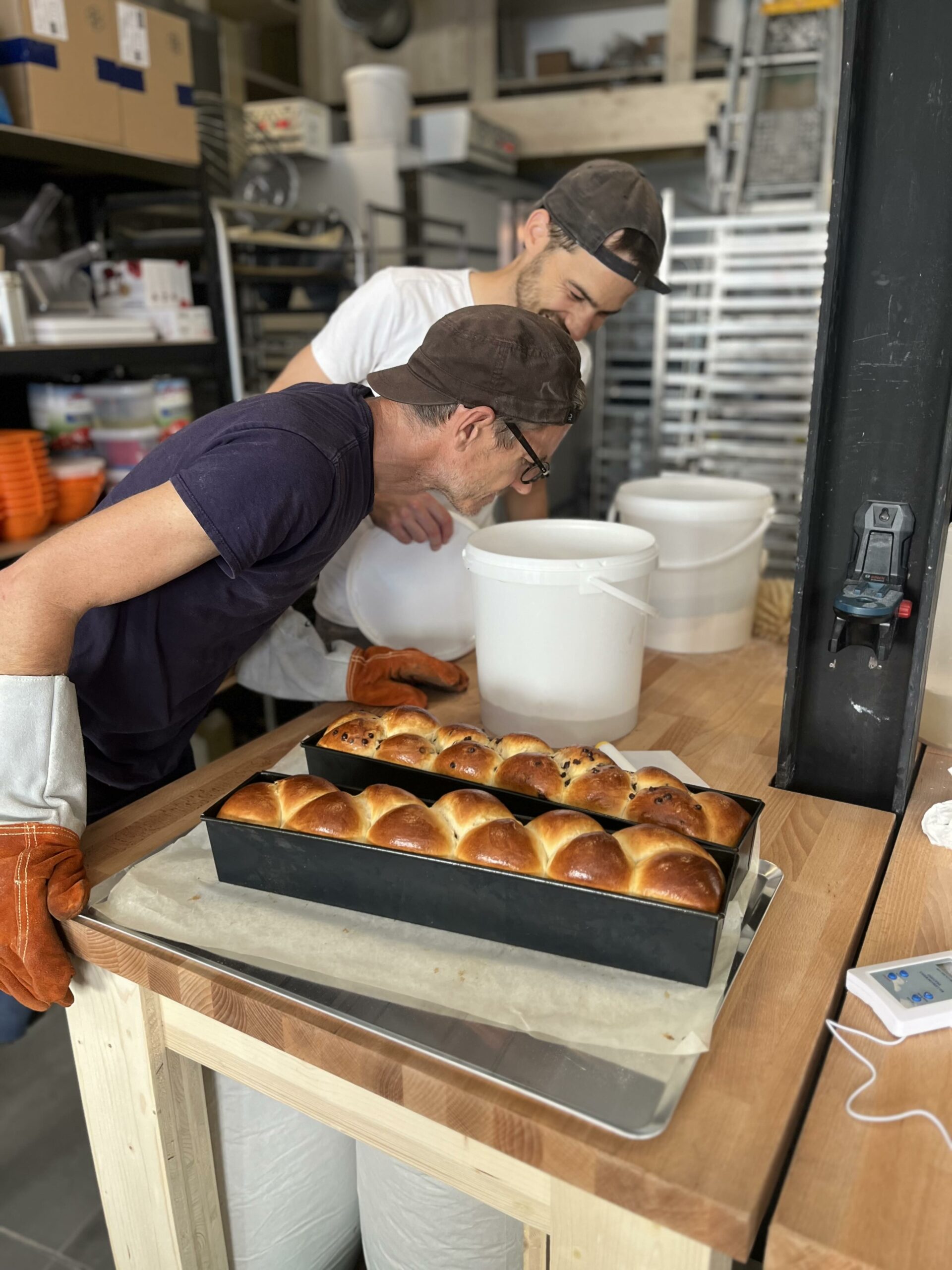 SUD·SUD·EST Boulangerie artisanale biologique et coopérative à Marseille 